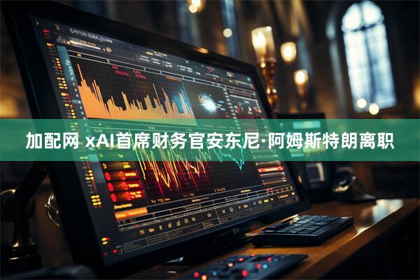 加配网 xAI首席财务官安东尼·阿姆斯特朗离职